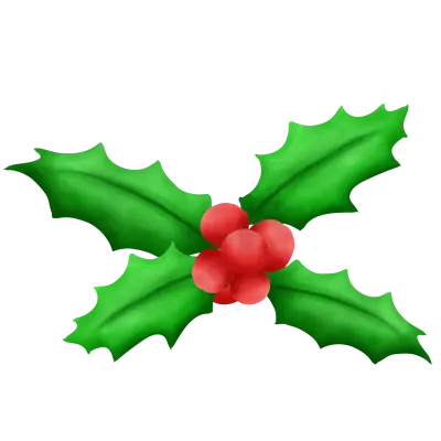 Christmas holly 2 3-September-23
