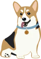 Corgi Dog