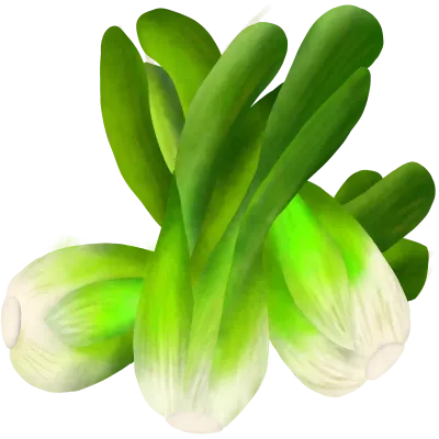 Vegetable