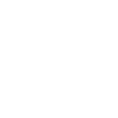 White dove bird