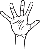 Ok Sign Vector Illustration