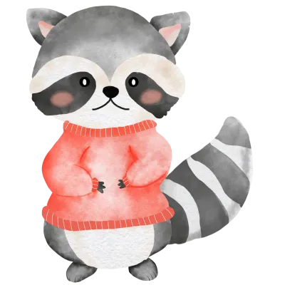 Raccoon