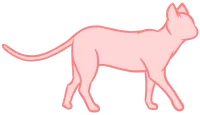 lonely cat3