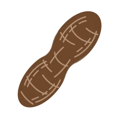 땅콩