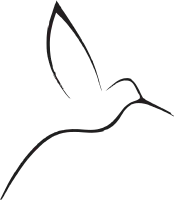 Bird in Flight Icon