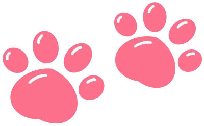 발바닥