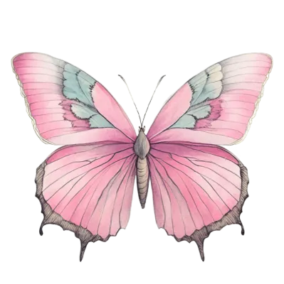 pink butterfly, 핑크 나비