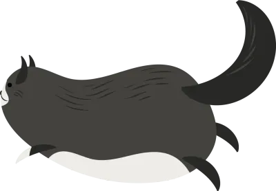 black white cat run