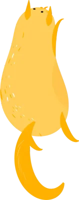 Orange cat scratch