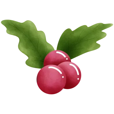 Christmas holly berries with green leaves illustration.