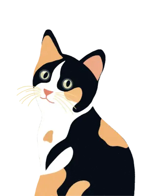 IMG_cat01