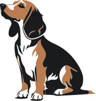 Basset Fauve de Bretagne icon