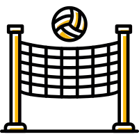 Volleyball Icon