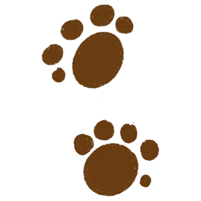 Footprint