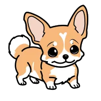 cute dog