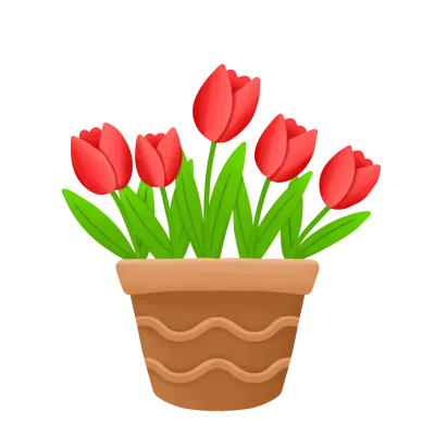Red tulip