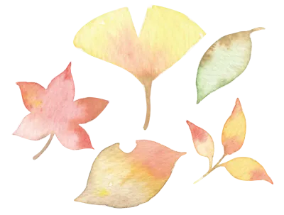 leaf
