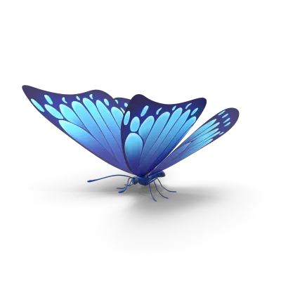 Blue butterfly isolated