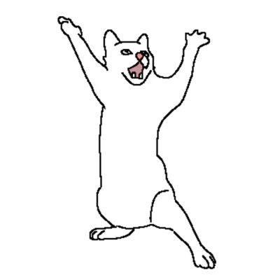 냥이 (cat)