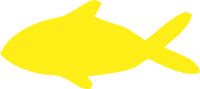 Yellow Flat Fish