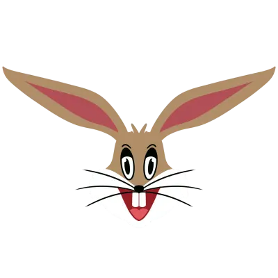 Cute Bunny Character