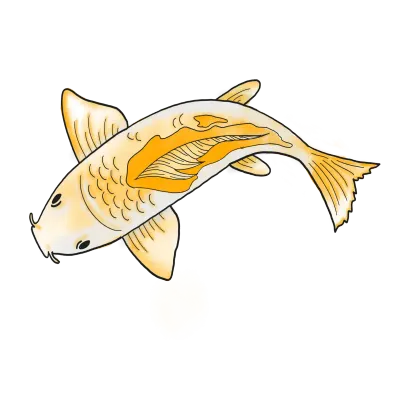 Koi fish cartoon