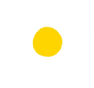 데이지꽃