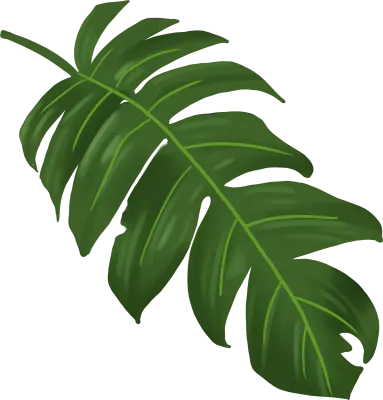 green leaf