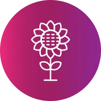 Sunflower Icon