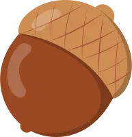 도토리03
