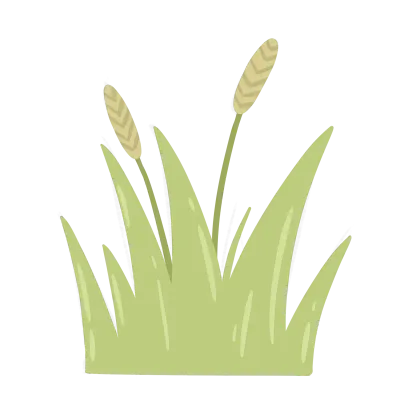 Grass illustration drawing painting