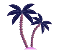 Exotic coconut trees 