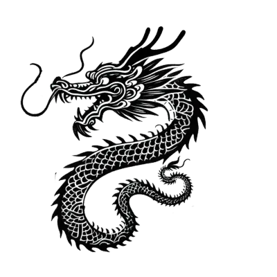 black dragon illustration