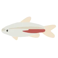 Tropical aquarium doodle - Fish