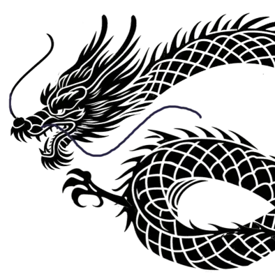 dragon illustration