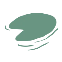 Tropical aquarium doodle - Lotus Leaf