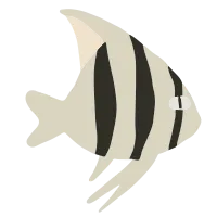 Tropical aquarium doodle - Angel Fish