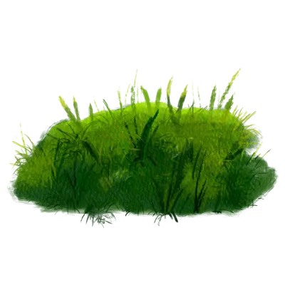 The green