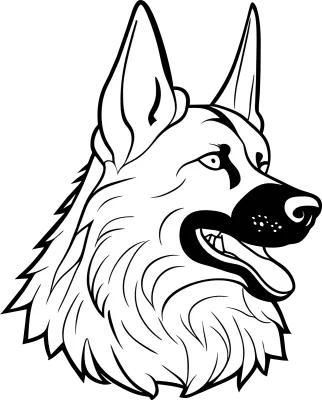 Dog German Shepherd Alsatian 4