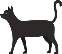 고양이-1