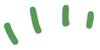 풀
