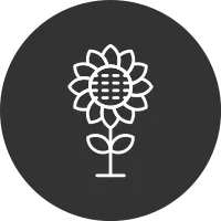 Sunflower Icon