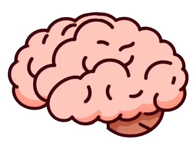 Simple color illustration of the human brain