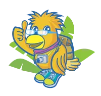 Thumb Up Smiling Tourist Bird Cartoon With Camera And Backpack