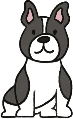 강아지2