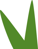 Grass Icon