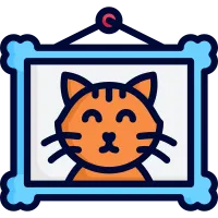 Photo frame cat icon