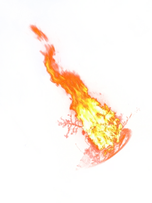 불