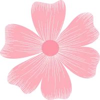 Botanical flowers illustration