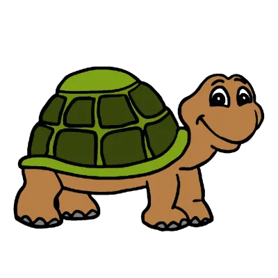 turtle